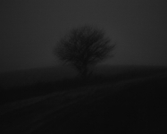 You don't see much in the dark up here